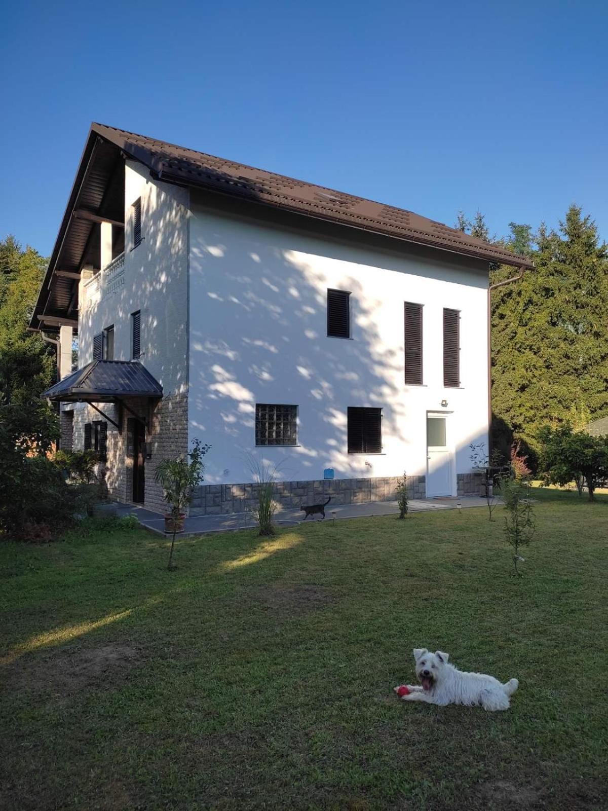 Studio Apartman Gorica Огулин Екстериор снимка
